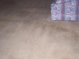 Living Room Carpet Cleaning After