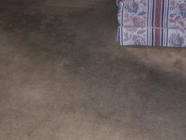 Living Room Carpet Cleaning Before